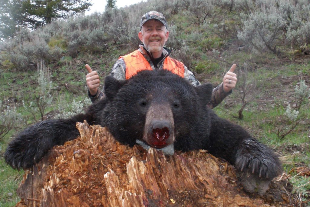 Black Bear Hunting