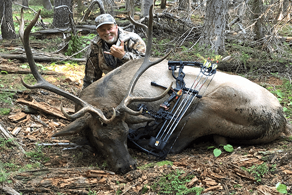 Archery Elk hunting