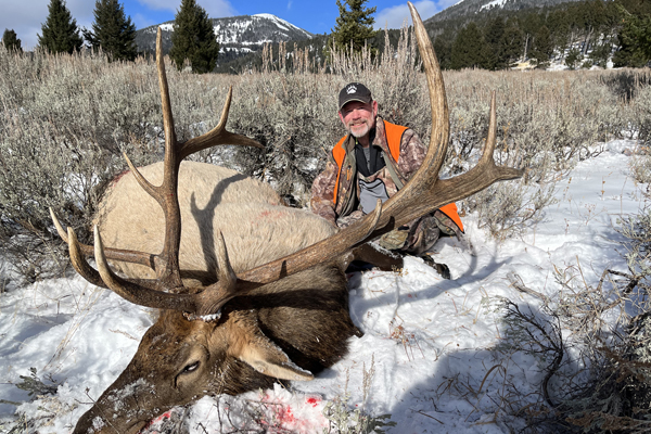 Rifle Elk Hunting